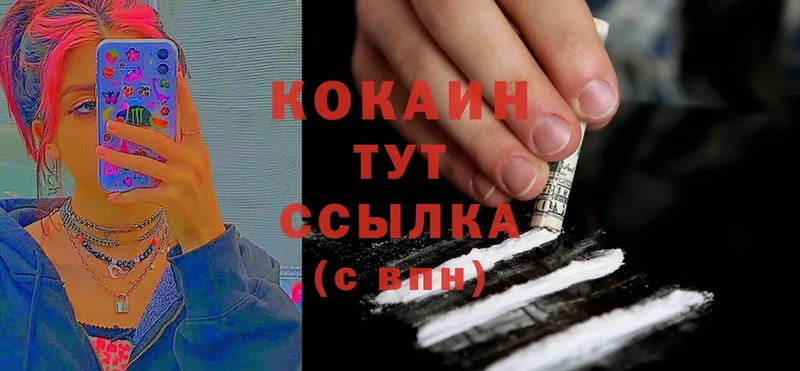 где купить   Ржев  Cocaine FishScale 