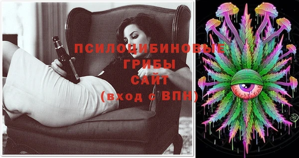 тгк Няндома