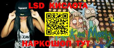 spice Гай
