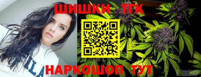 spice Гай
